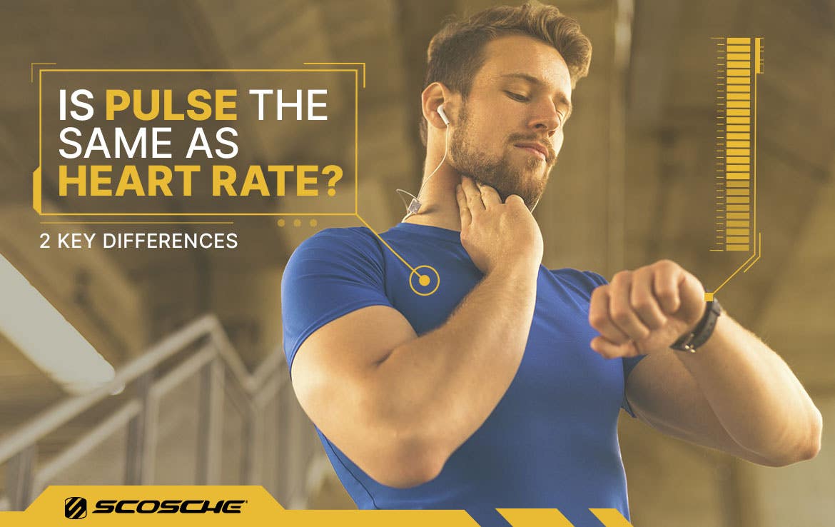 Is Pulse the Same as Heart Rate? 2 Key Differences